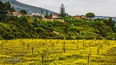 Castellammare del Golfo "Scopello in primavera" (2)