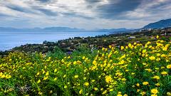 Castellammare del Golfo "Scopello in primavera" (9)