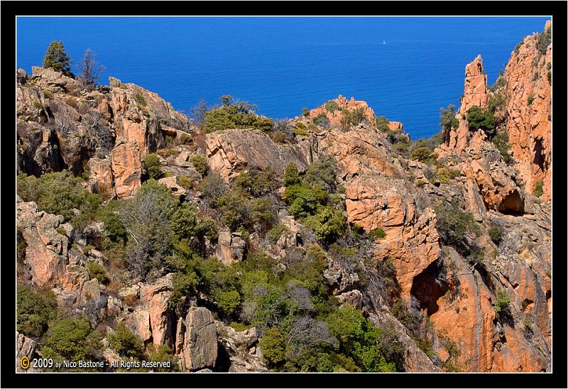 Corsica-Piana-Calanchi-451-Large.jpg - Calanchi di Piana - Calanches de Piana - Calanques de Piana