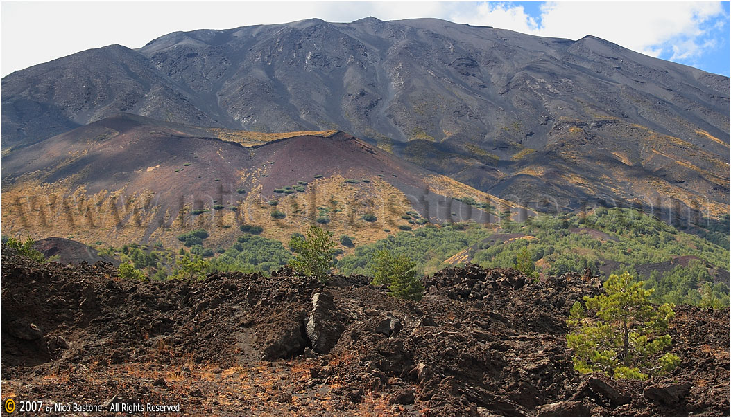 Vulcano Etna - Etna Volcan 09 Panorama con flora e lava