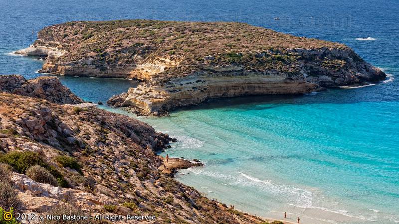 Lampedusa-1897-Large.jpg - Lampedusa "Isola dei Conigli" by Francesca Montano