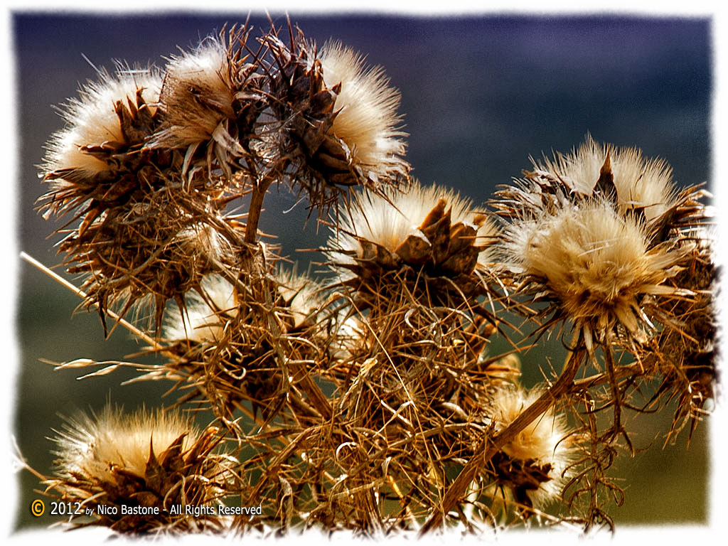 MADONIE Mountains 07