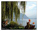 Montreux Wallpapers Sfondi per Desktop 1280x1024 - 1024x768