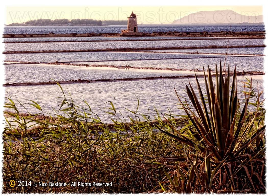 Saline 30 "Stagnone di Marsala. Mozia"