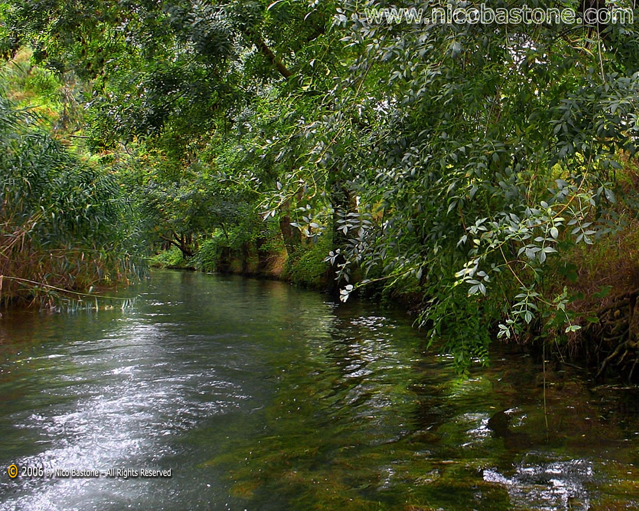 Wallpapers Siracusa: Ciane river photos - Foto fiume Ciane Sfondi per Desktop