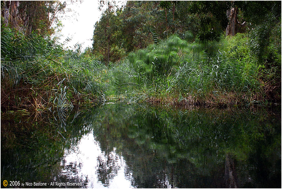 09-Siracusa-Ciane-River