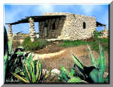 Lampedusa - AGRIGENTO House with agaves