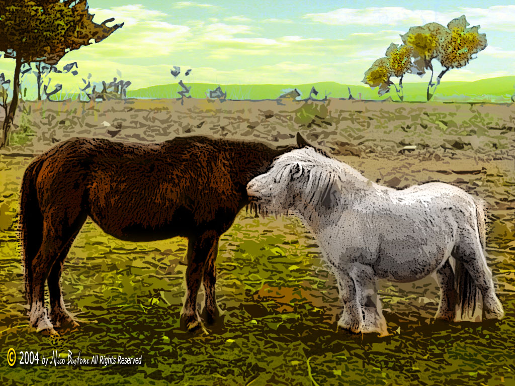 Friends - Wallpapers Sfondi per Desktop - Copyright by Nico Bastone - All Rights Reserved