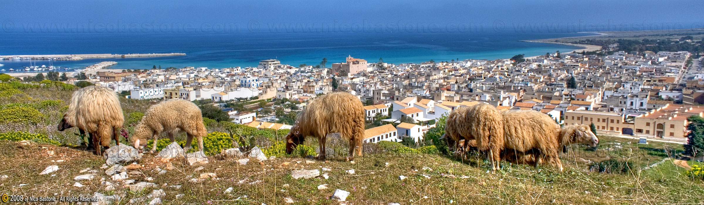 San Vito Lo Capo, TP "Panorama con pecore - Landscape with sheeps" 2400x700 px